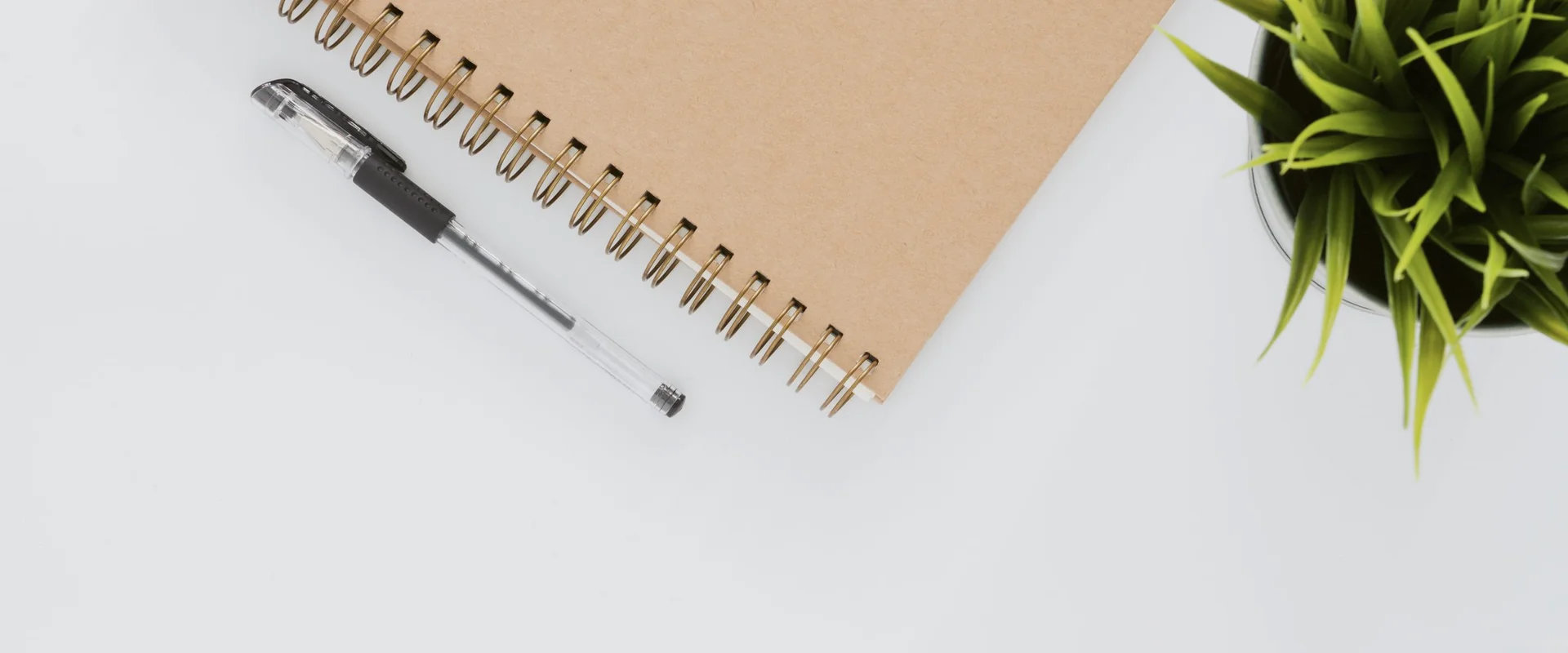 A spiral notebook and pen beside a small green plant on a clean white desktop